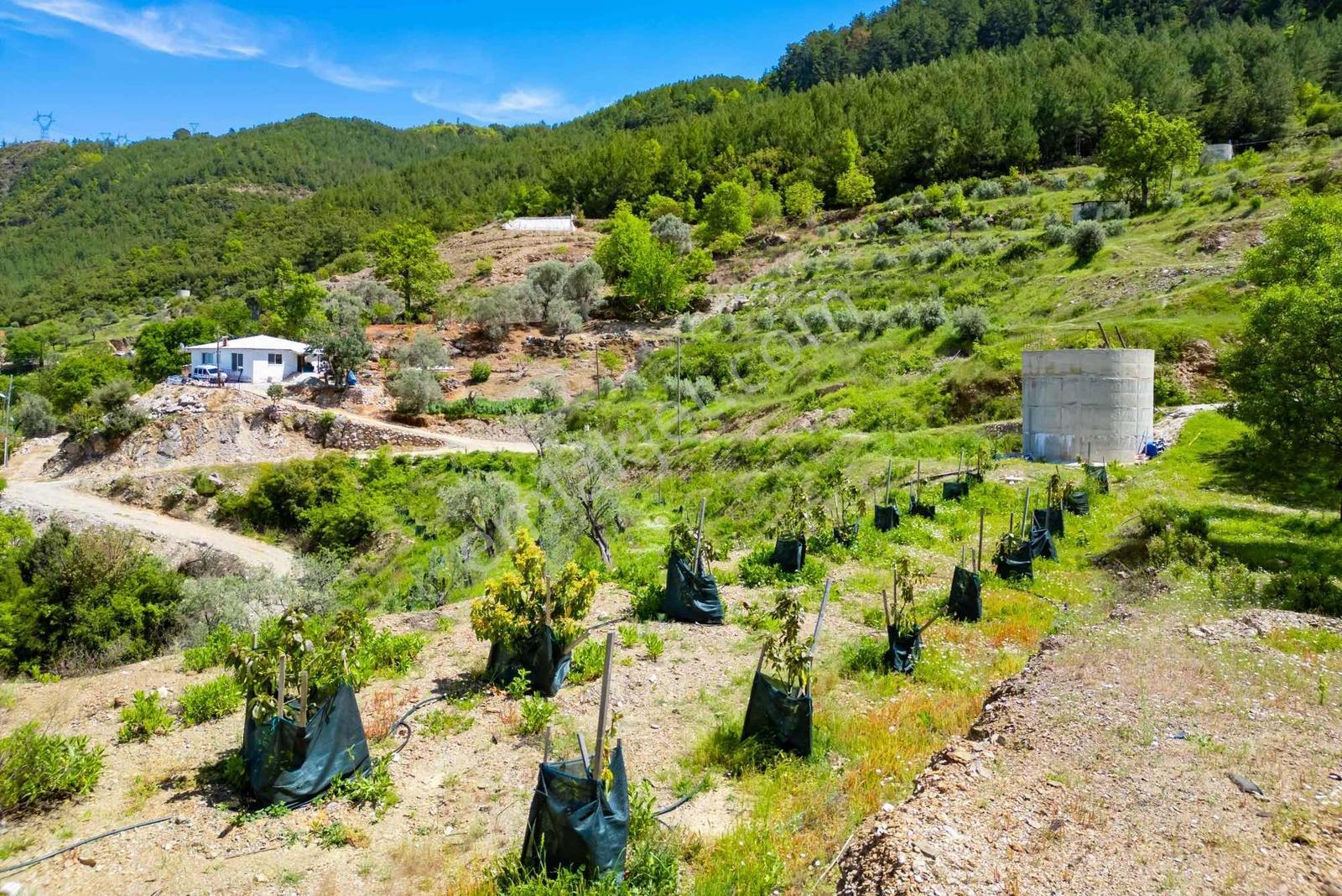 Alanya Gümüşgözede Satılık Yatırımlık Tarla - Görsel 19
