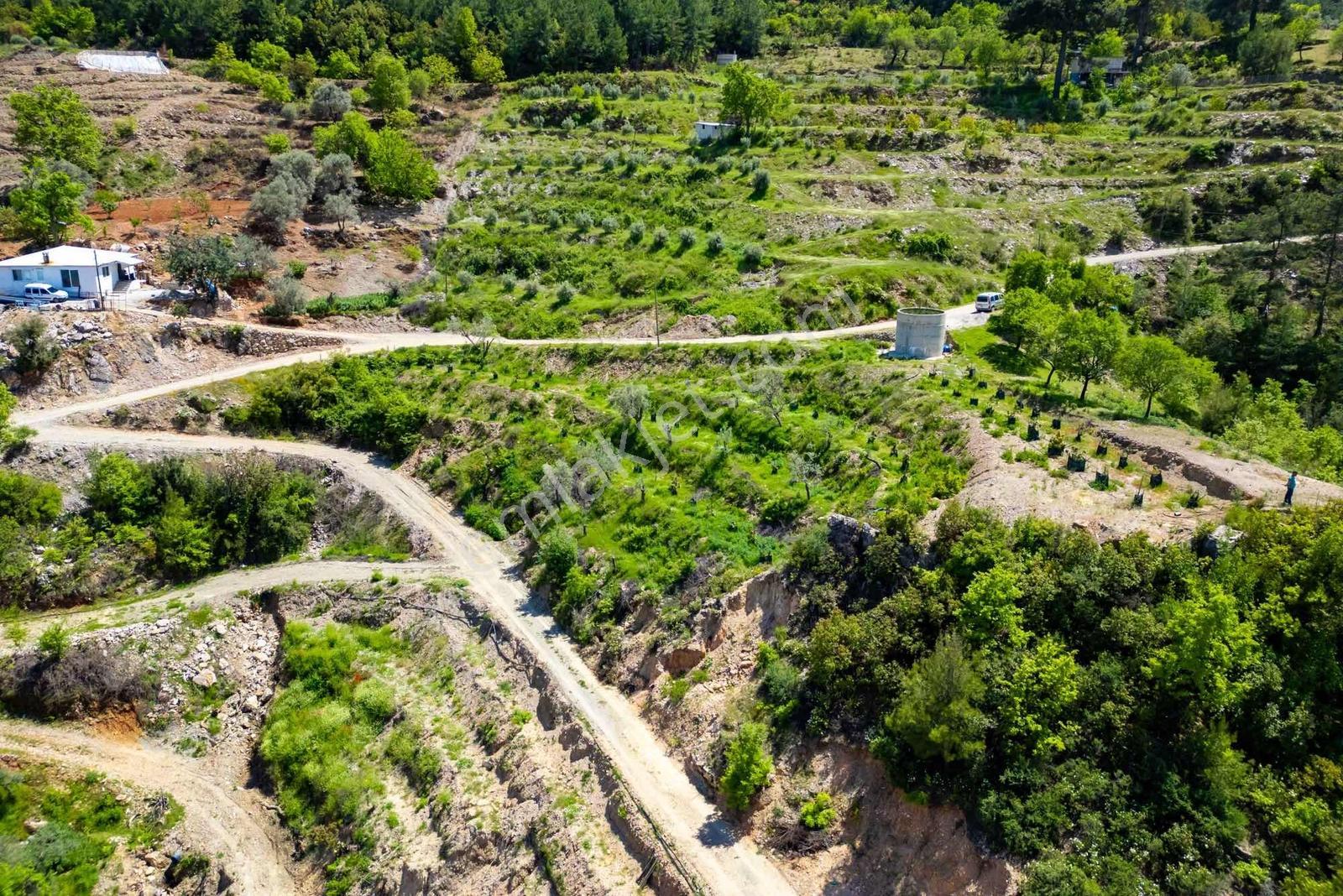 Alanya Gümüşgözede Satılık Yatırımlık Tarla - Görsel 3
