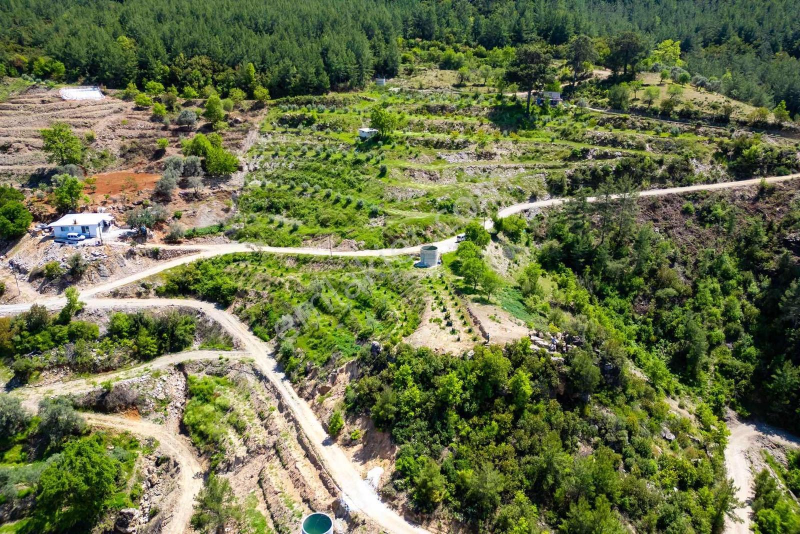 Alanya Gümüşgözede Satılık Yatırımlık Tarla - Görsel 2
