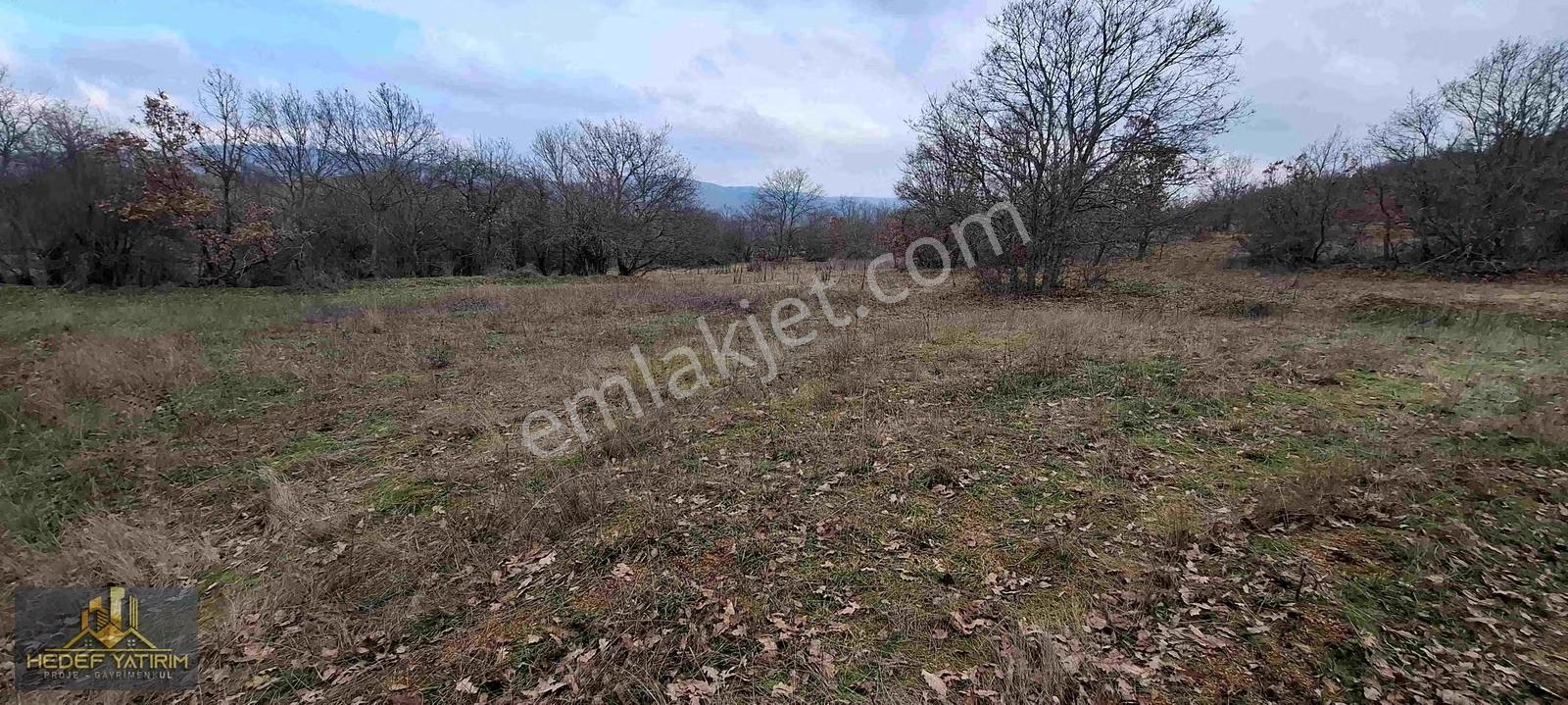 Sabit Taksitle Yer Satıyoruz...hemen Tapu..müstakil [ 4.224 M2 ] - Görsel 29