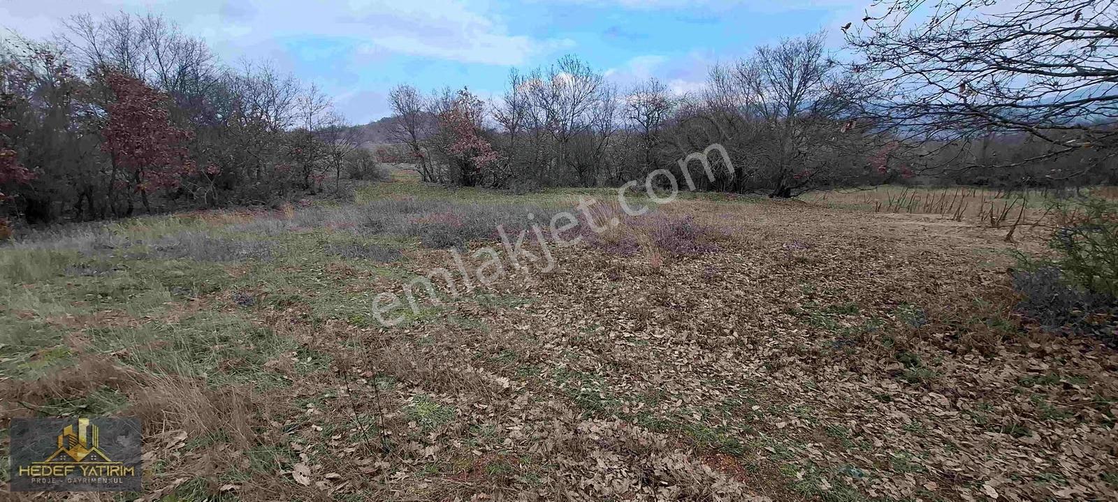 Sabit Taksitle Yer Satıyoruz...hemen Tapu..müstakil [ 4.224 M2 ] - Görsel 11