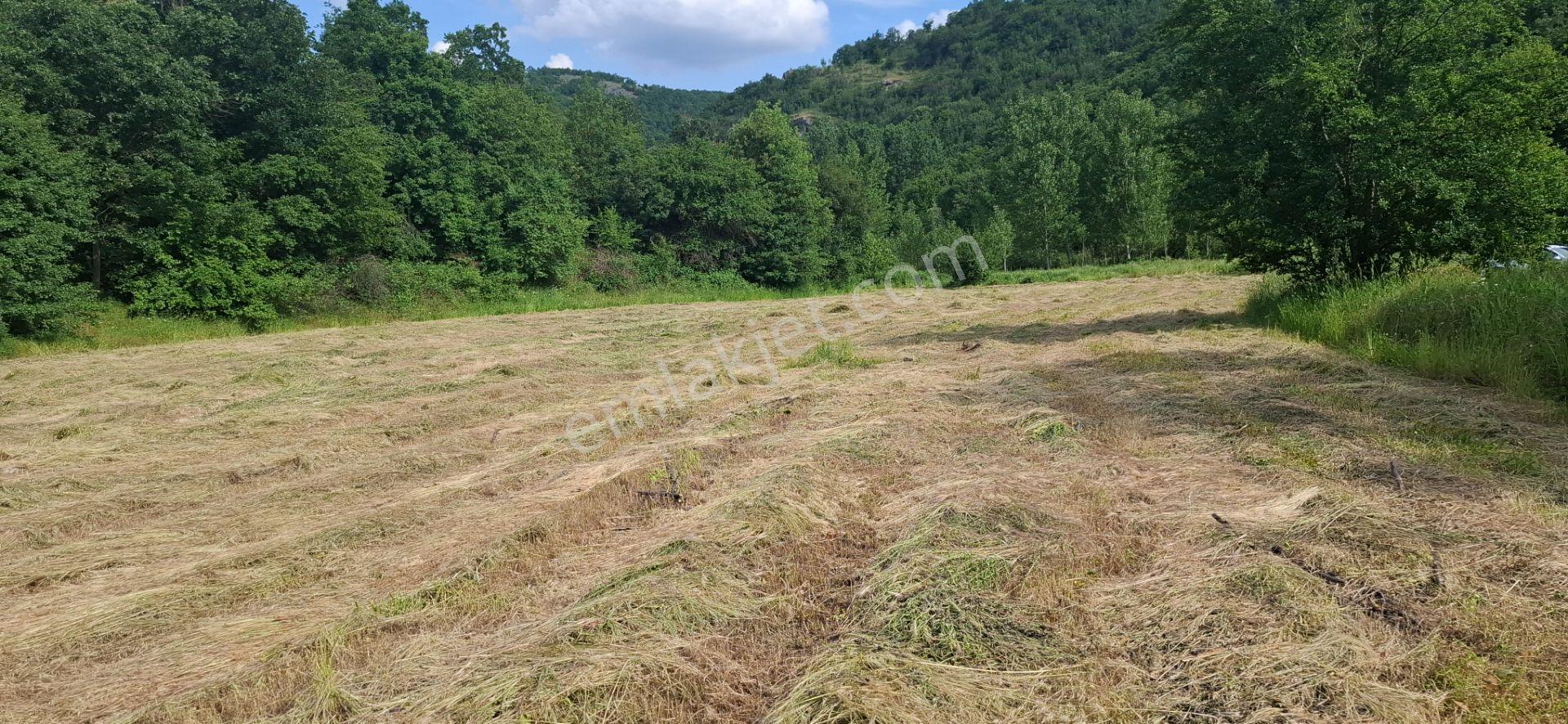 Kuzulu Şelalesine Çok Yakın Yola Cepheli Kupon Yer Emsalsiz - Görsel 9