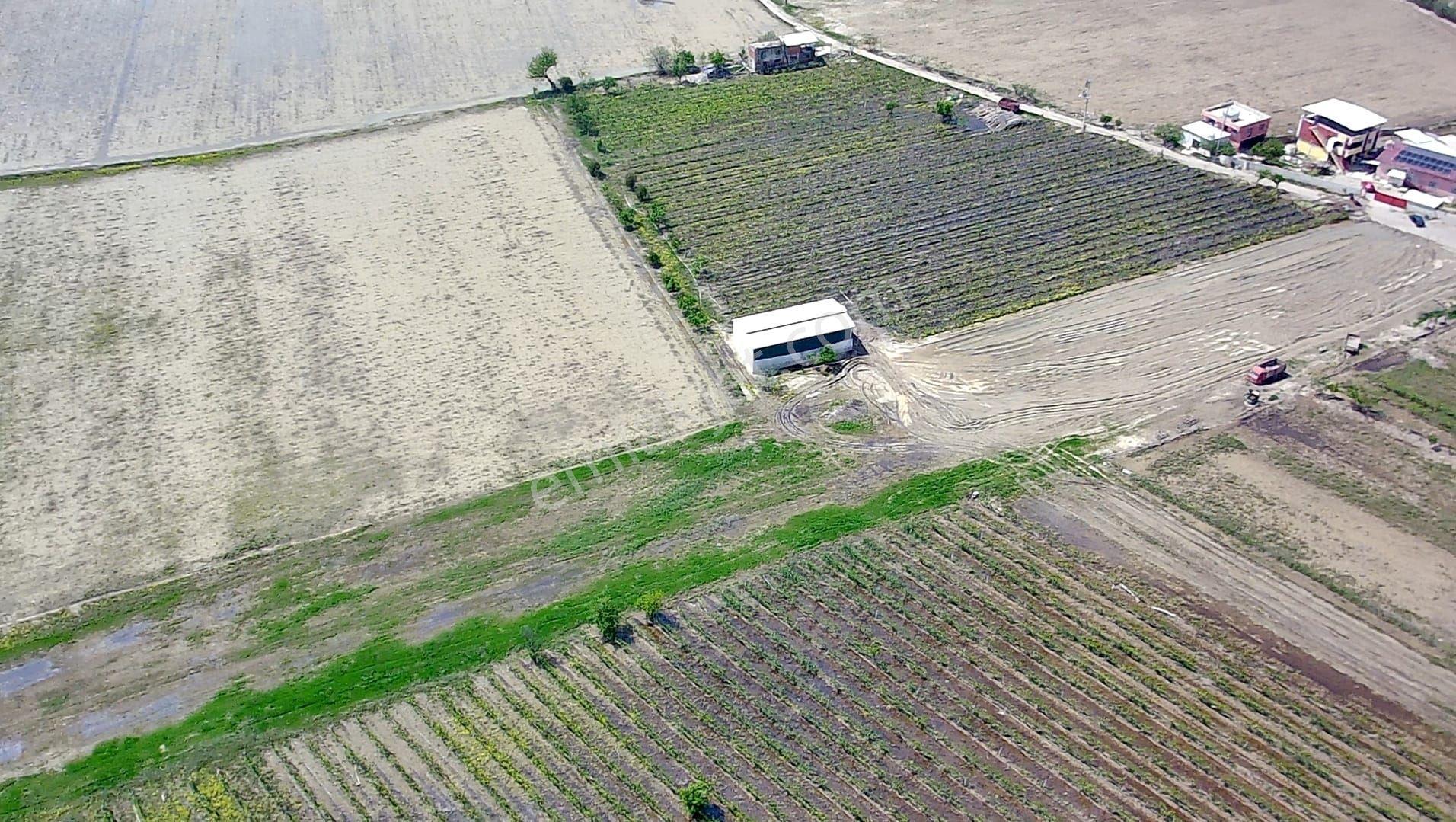 Manisa Şehzadeler Kazım Karabekir Mah 9046 M2 Satılık Bağ