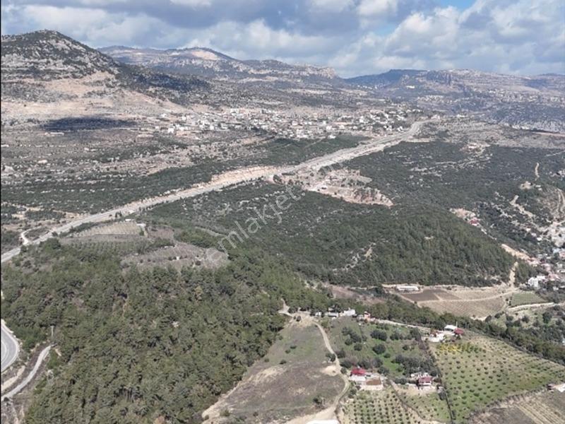 Turyap Sistem'den Dalak Deresi'nde Satılık Bağ-bahçe - Görsel 5