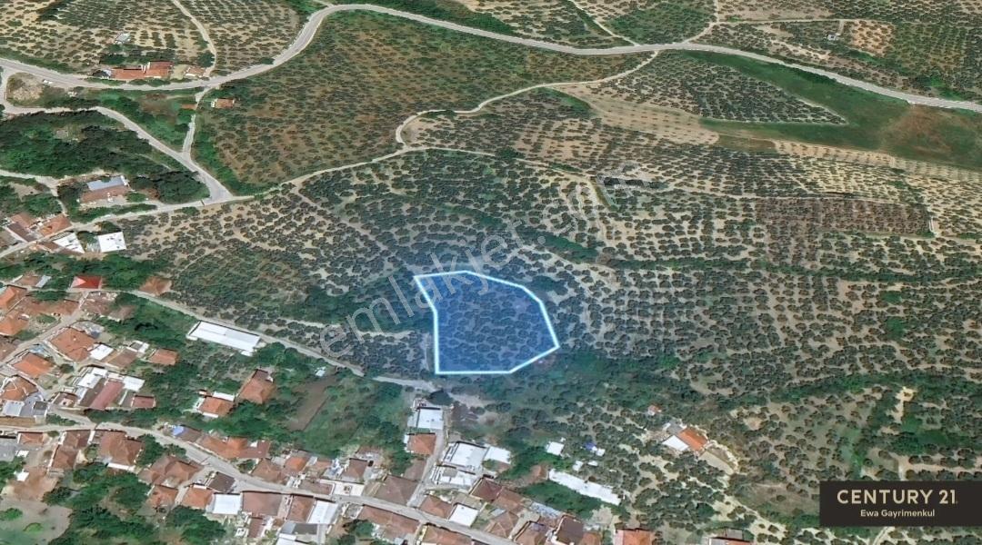 Mudanya Aydınpınar'da Villa İmarlı Satılık - Görsel 7