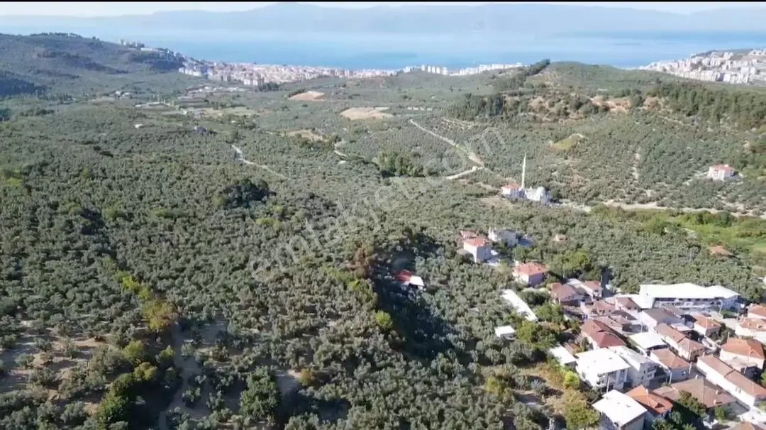 Mudanya Aydınpınar'da Villa İmarlı Satılık