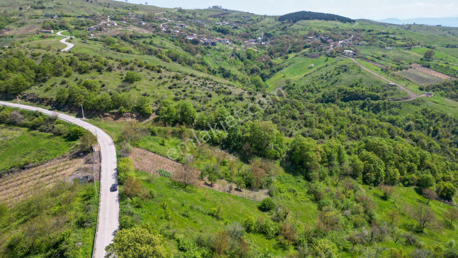 İstanbul’a 1 Saat Uzaklıkta Doğa İçinde Satılık %5 İmarlı Bahçe - Görsel 5