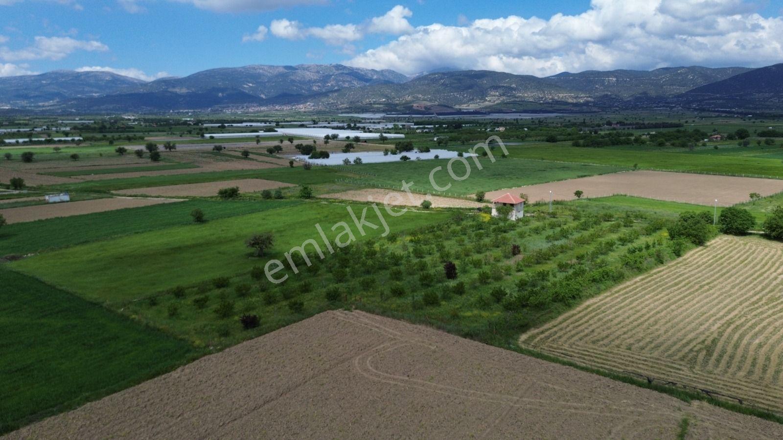 Korkuteli Yeşilyayla Satılık 6480m²bahçe - Görsel 8