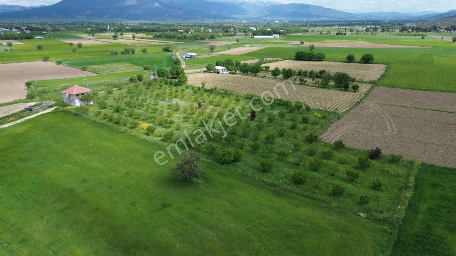 Korkuteli Yeşilyayla Satılık 6480m²bahçe - Görsel 10