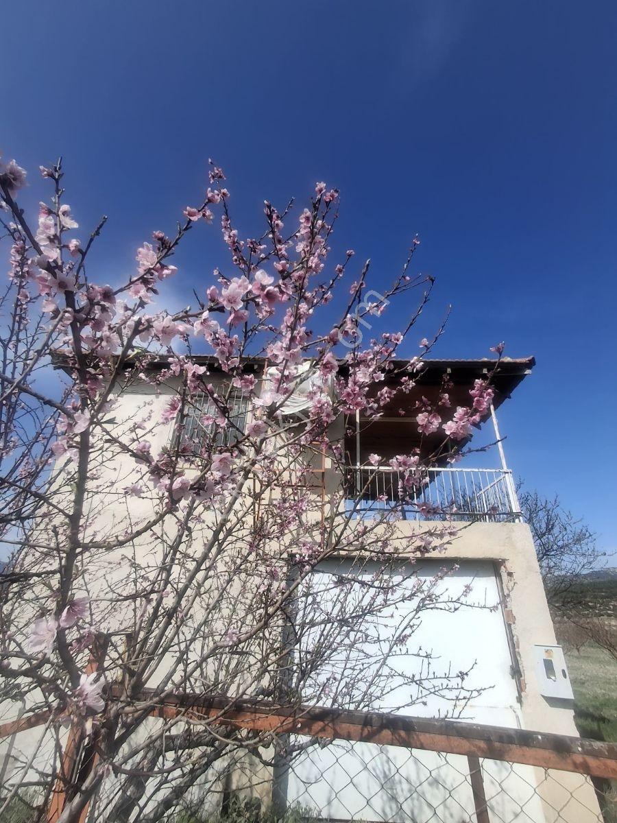 Korkuteli Yeşilyayla Satılık 6480m²bahçe - Görsel 15