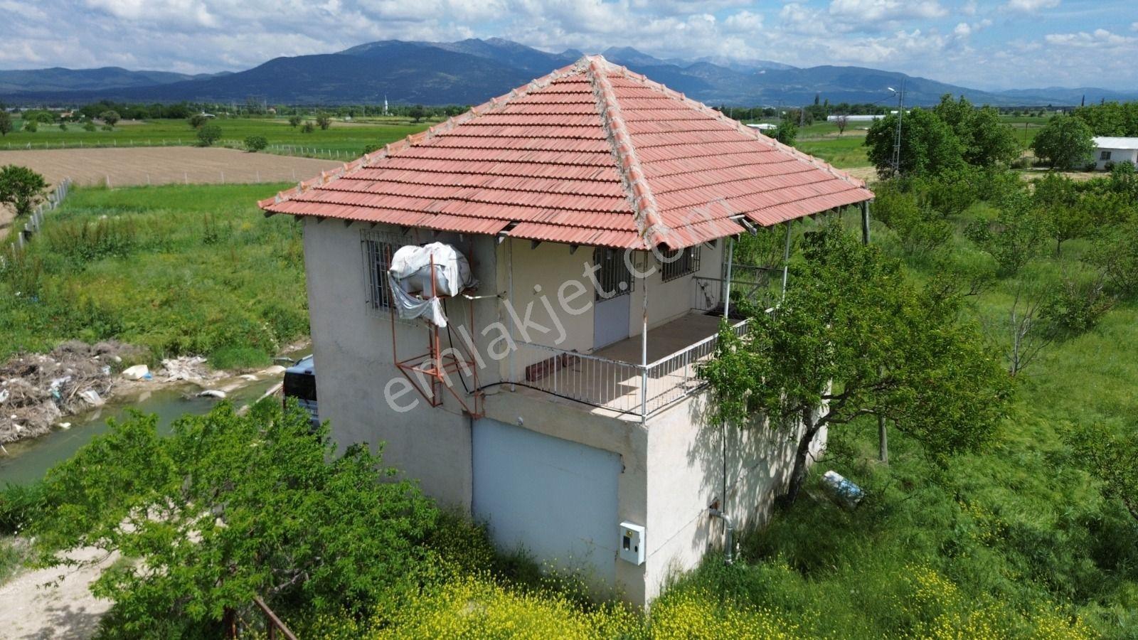 Korkuteli Yeşilyayla Satılık 6480m²bahçe - Görsel 3
