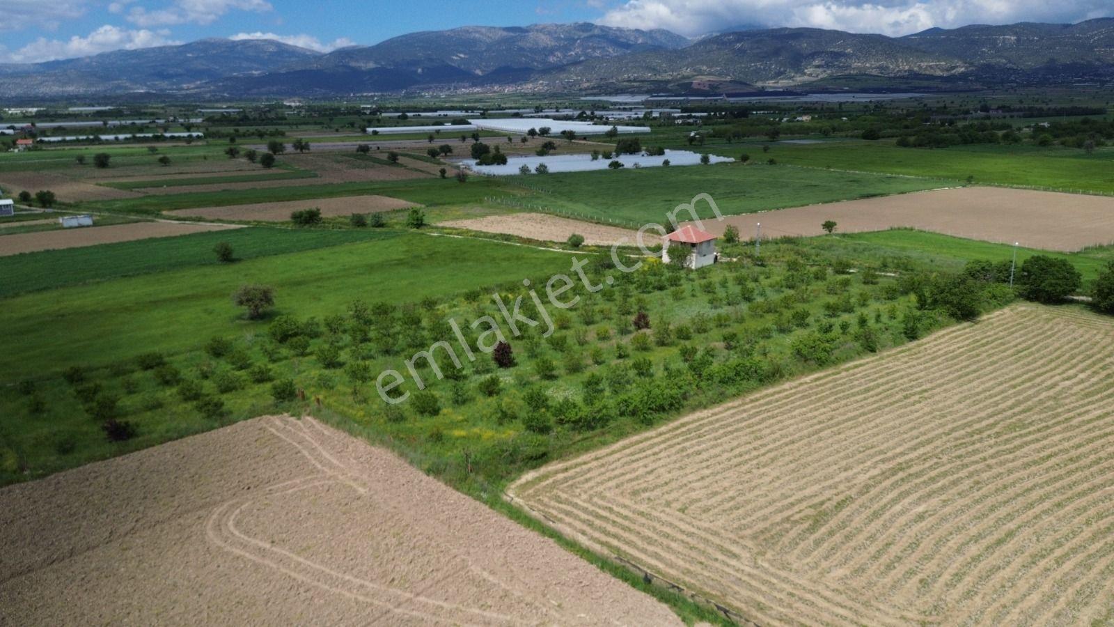 Korkuteli Yeşilyayla Satılık 6480m²bahçe - Görsel 17