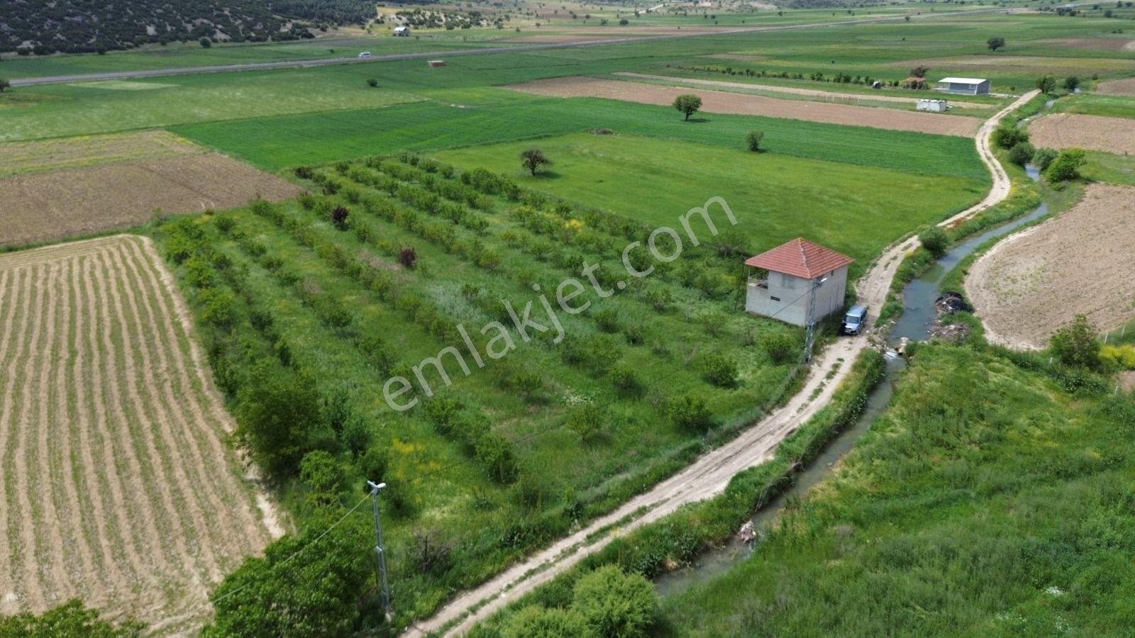 Korkuteli Yeşilyayla Satılık 6480m²bahçe - Görsel 6