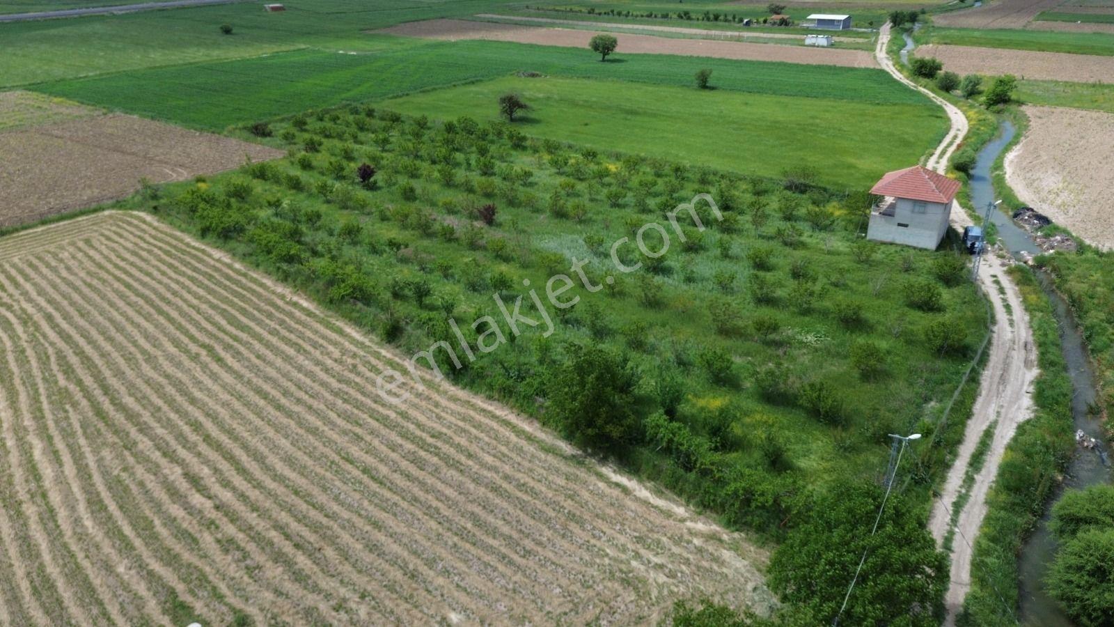 Korkuteli Yeşilyayla Satılık 6480m²bahçe - Görsel 5