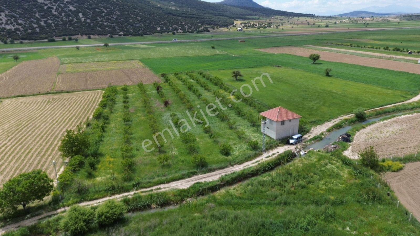 Korkuteli Yeşilyayla Satılık 6480m²bahçe - Görsel 7