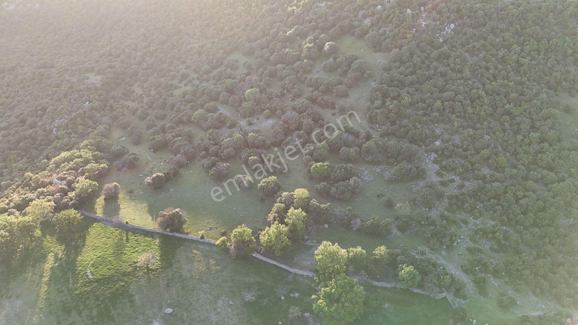 Çanakkale Ayvacık Kozlu'da Deniz Manzaralı Satılık Tarla - Görsel 3
