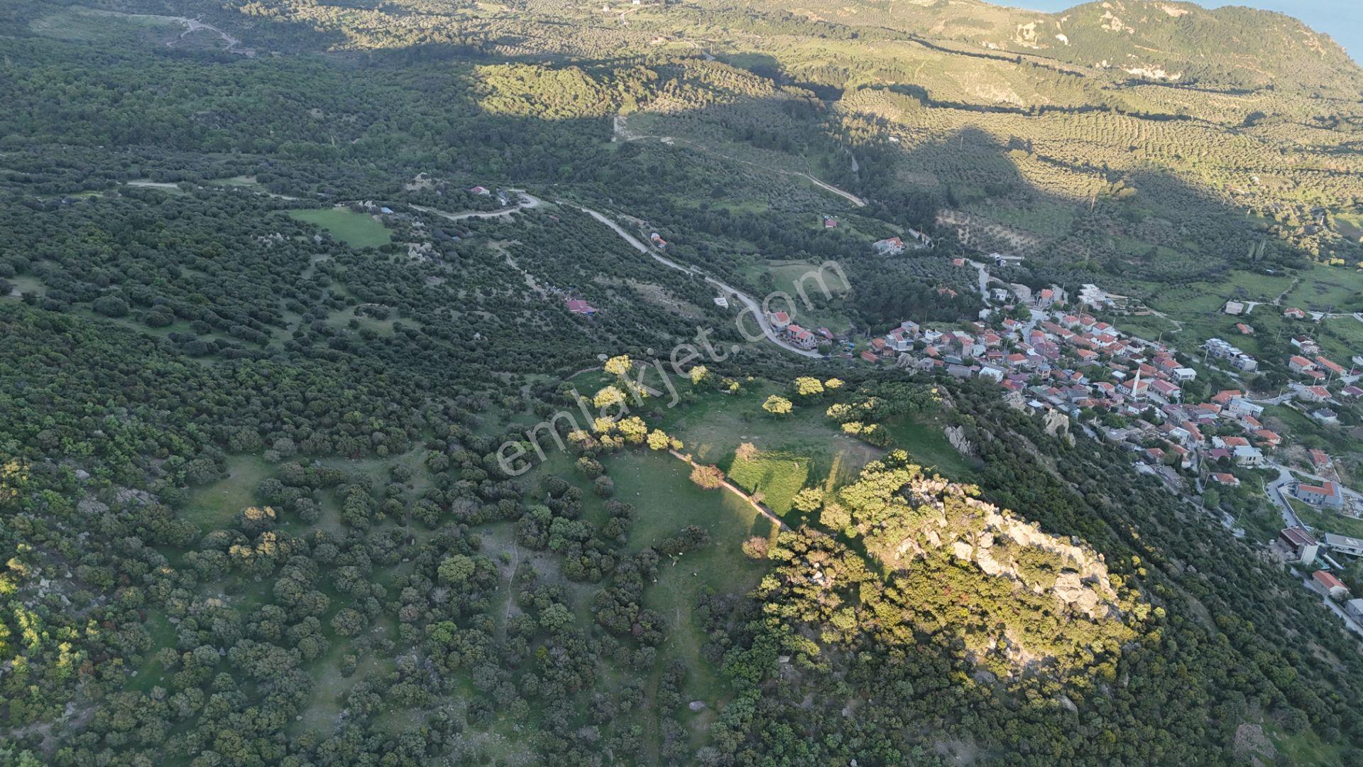 Çanakkale Ayvacık Kozlu'da Deniz Manzaralı Satılık Tarla - Görsel 5