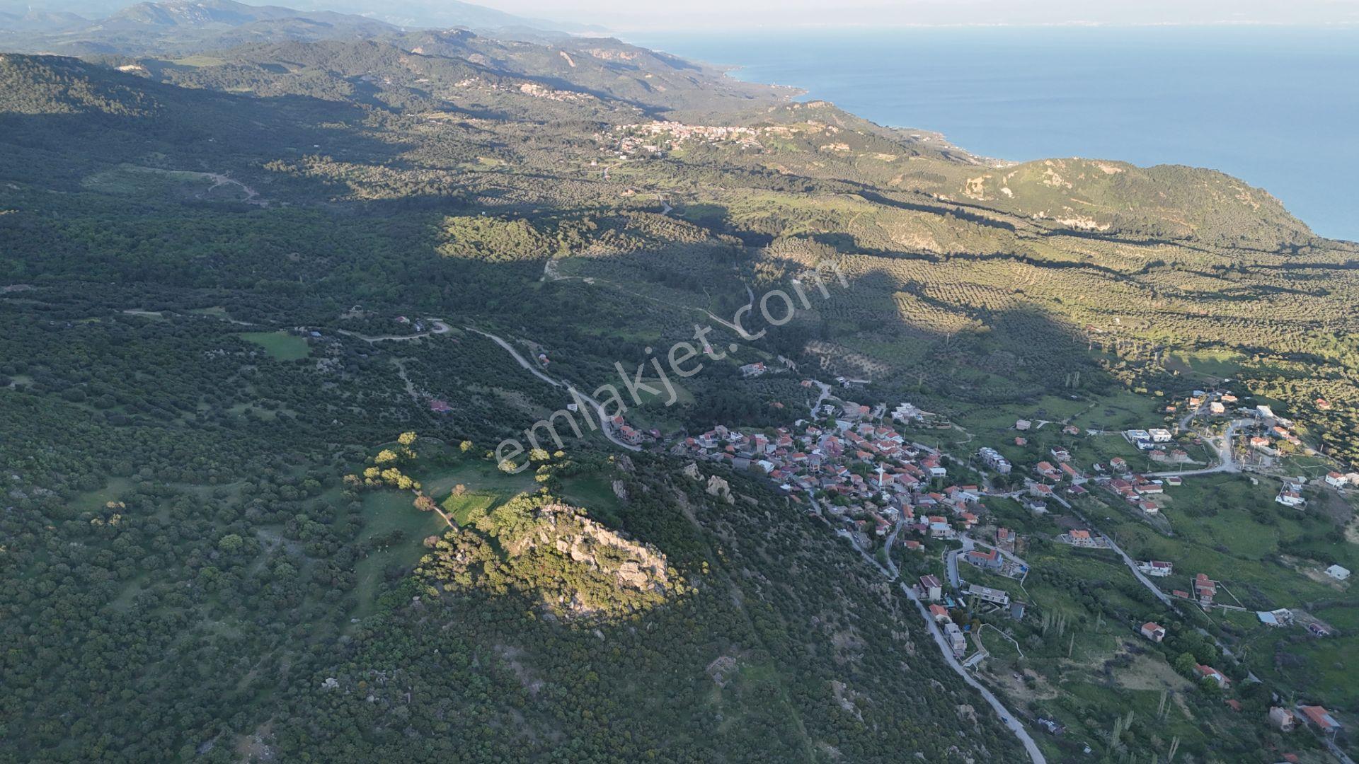 Çanakkale Ayvacık Kozlu'da Deniz Manzaralı Satılık Tarla - Görsel 4