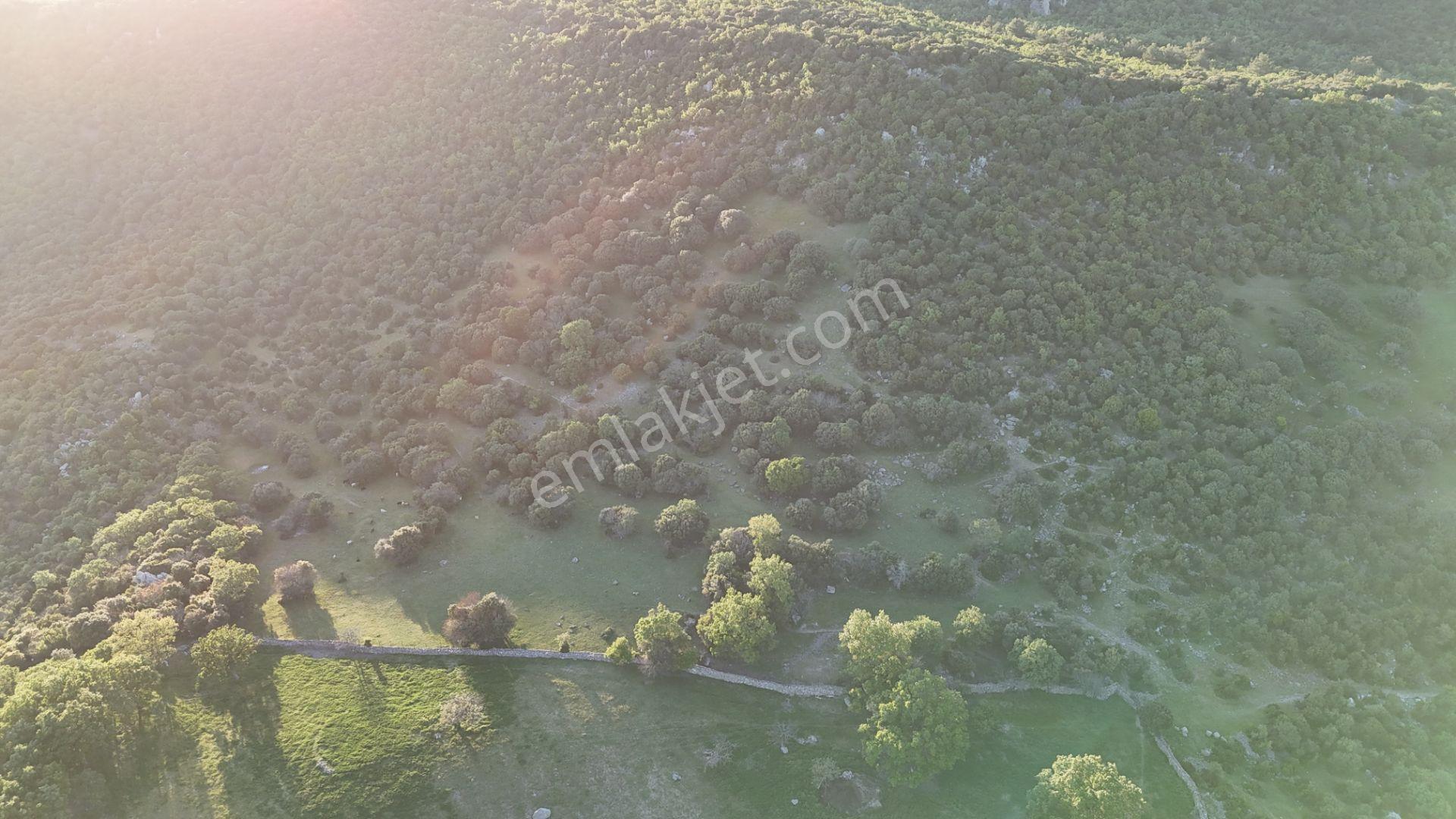 Çanakkale Ayvacık Kozlu'da Deniz Manzaralı Satılık Tarla - Görsel 6