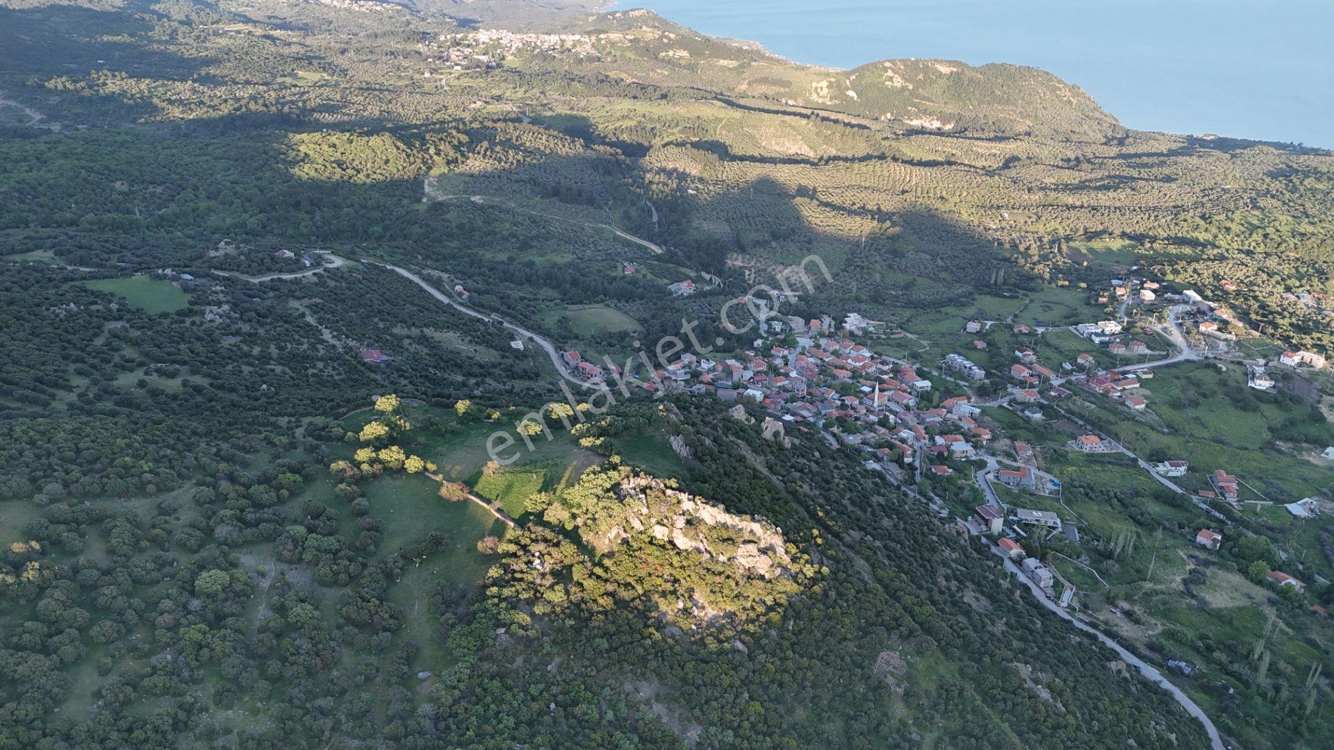 Çanakkale Ayvacık Kozlu'da Deniz Manzaralı Satılık Tarla