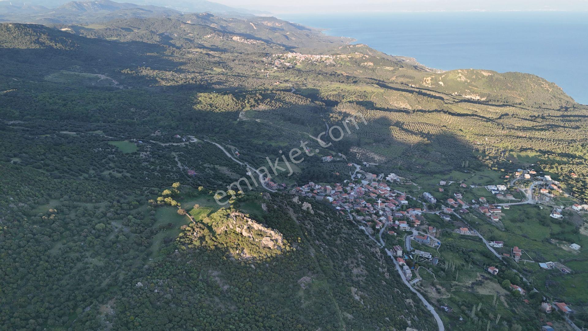 Çanakkale Ayvacık Kozlu'da Deniz Manzaralı Satılık Tarla - Görsel 2