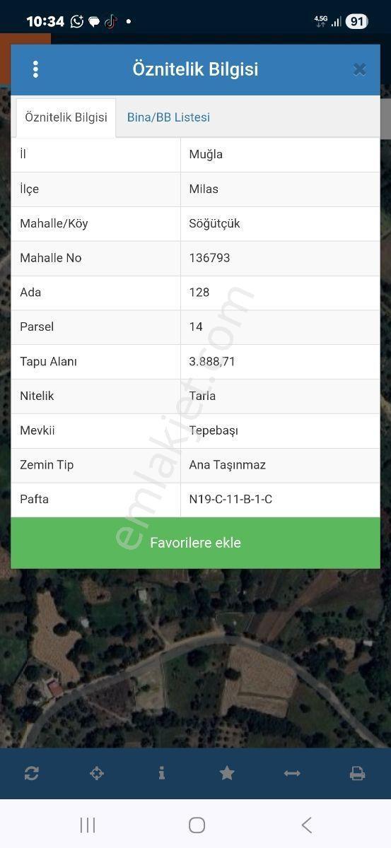 Acil Satılık Tarla Kaçırılmayacak Fırsat - Görsel 12
