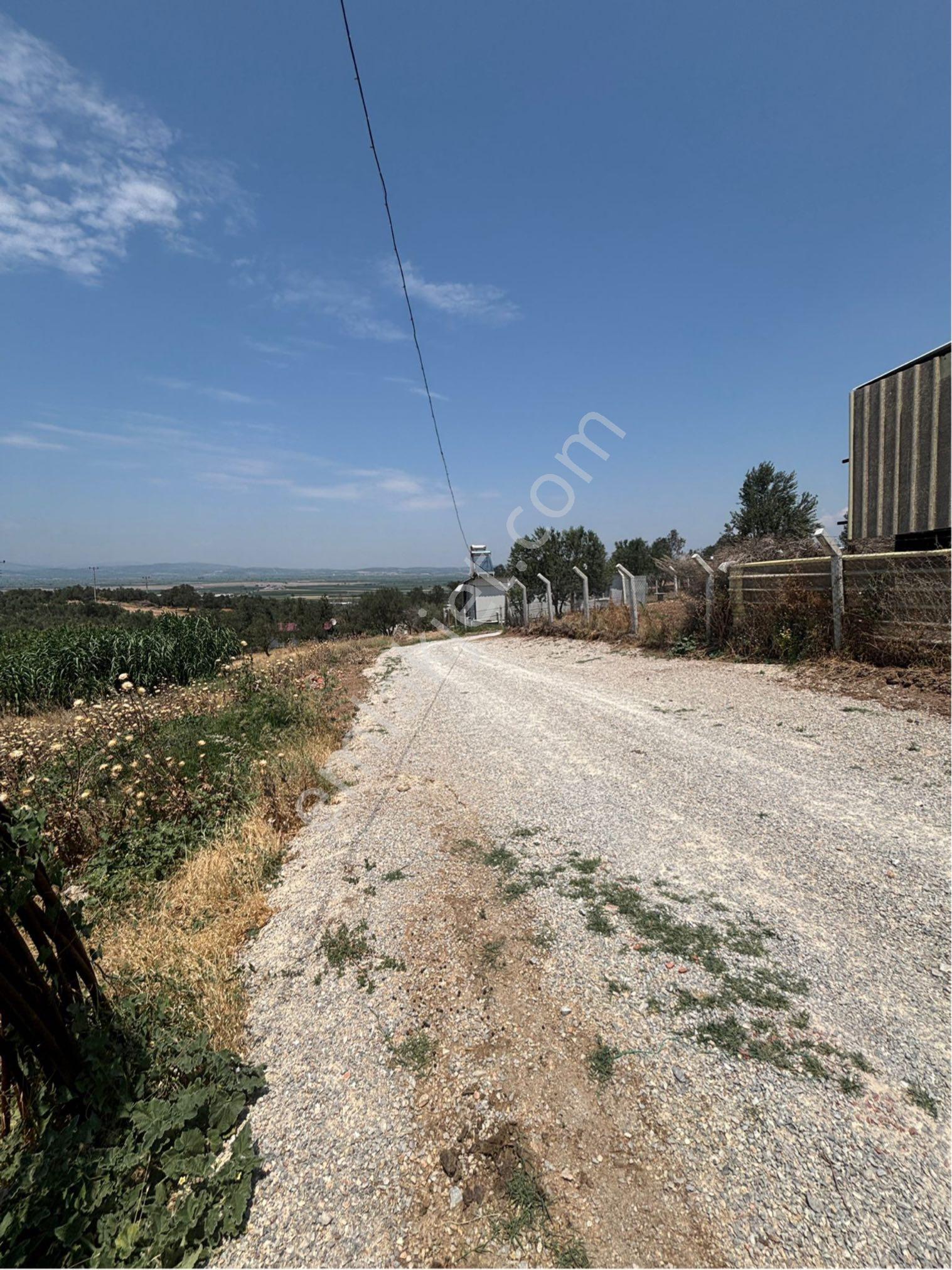 Saruhanlı Halitapaşada Satılık Arsa