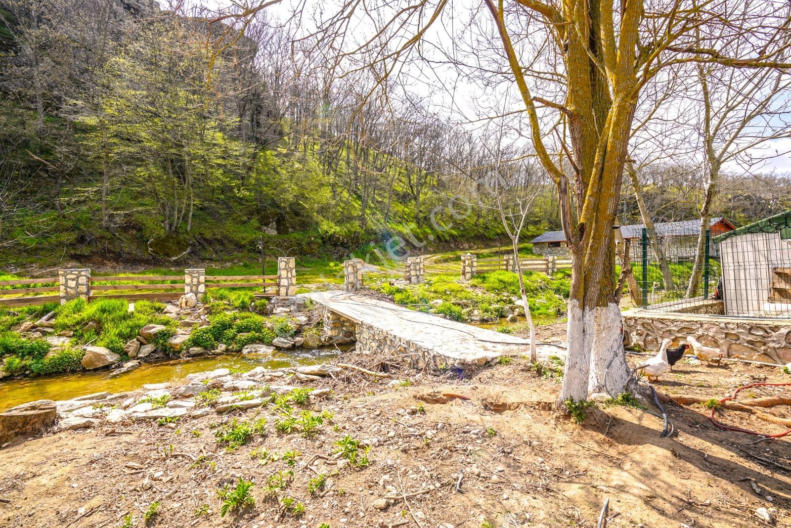 Kırklareli Pınarhisar Müstakil Villa Remax Murat Altaylar'dan - Görsel 15