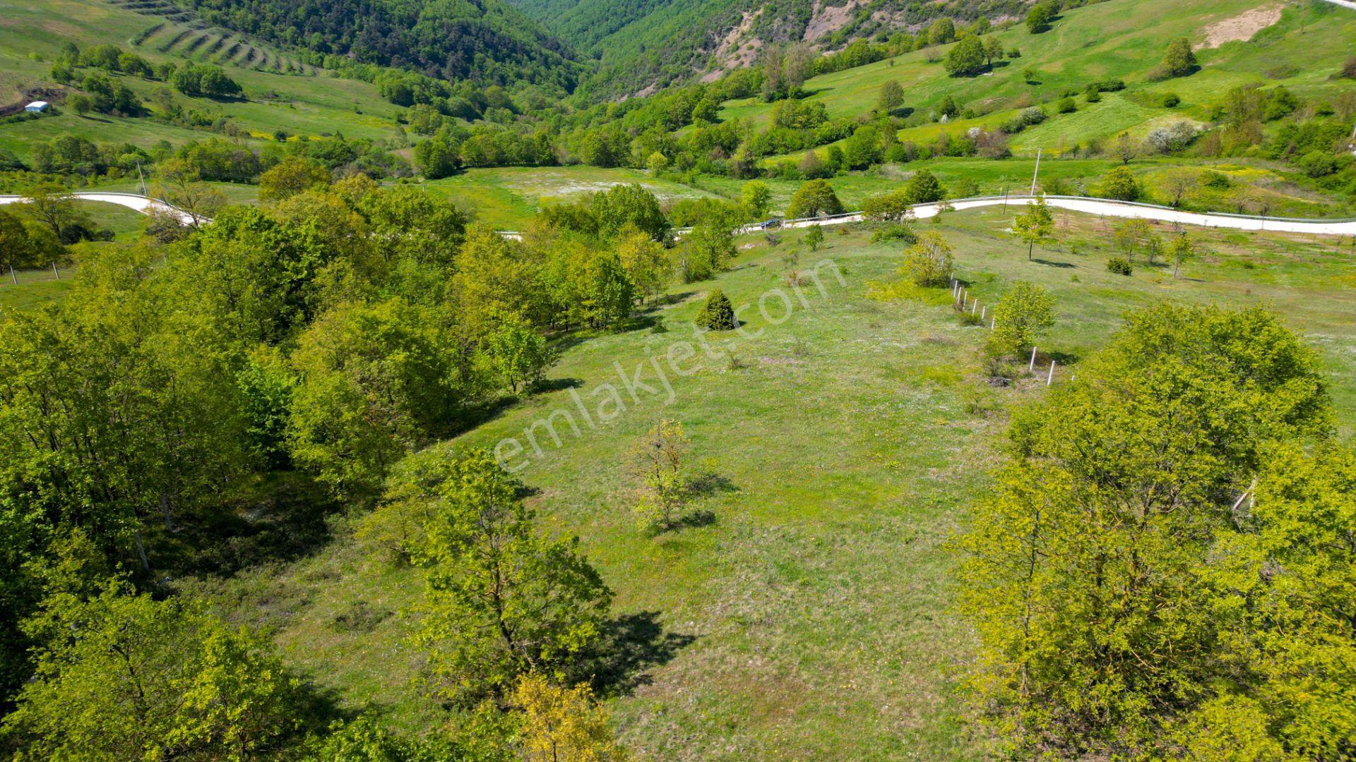 Fulacık’ta 5304 M2 %5 İmarlı Uygun Fiyatlı Yatırım Fırsatı - Görsel 9