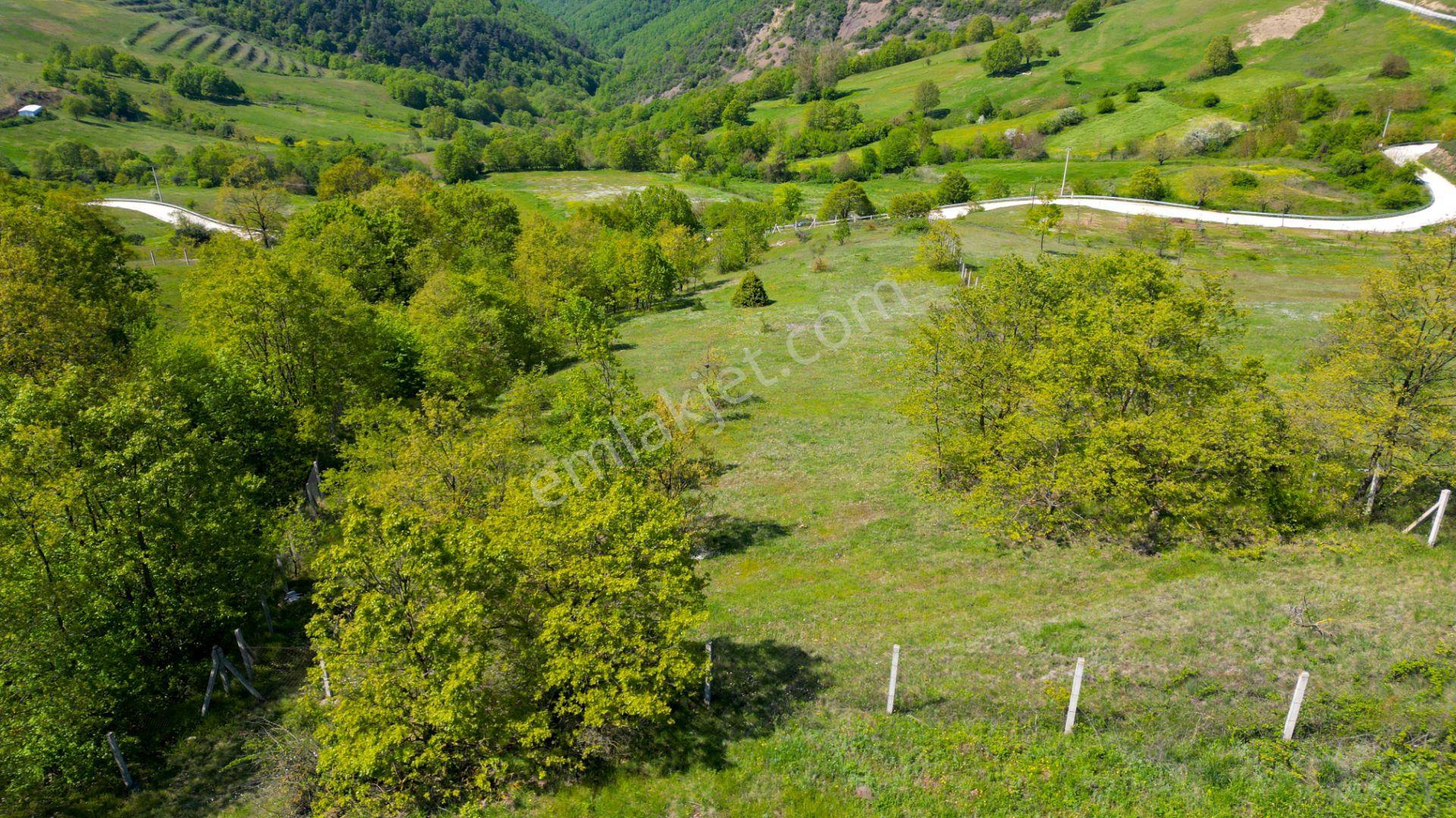 Fulacık’ta 5304 M2 %5 İmarlı Uygun Fiyatlı Yatırım Fırsatı - Görsel 8