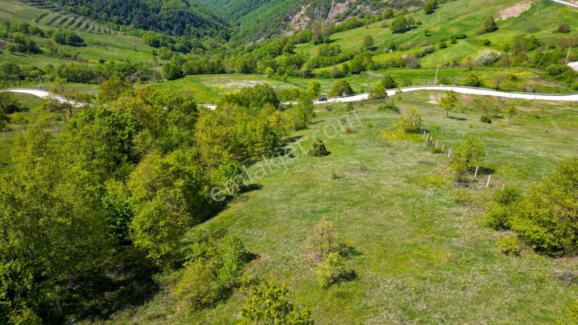 Fulacık’ta 5304 M2 %5 İmarlı Uygun Fiyatlı Yatırım Fırsatı - Görsel 10