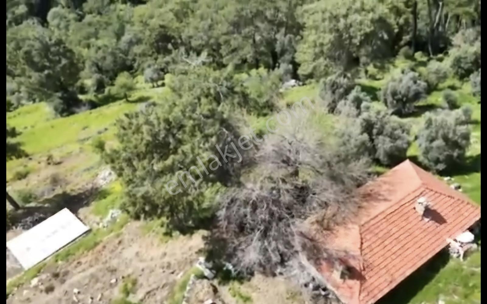 Deniz Manzaralı İçinde Kargır Ev Bulunan 7.776 M2 Satılık Tarla - Görsel 33