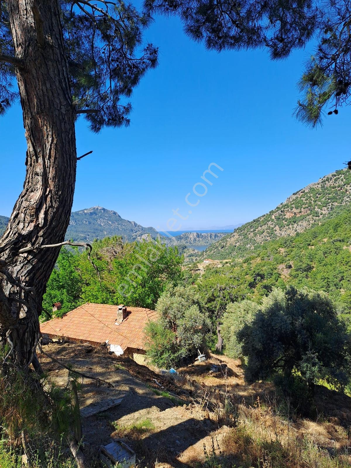 Deniz Manzaralı İçinde Kargır Ev Bulunan 7.776 M2 Satılık Tarla - Görsel 4