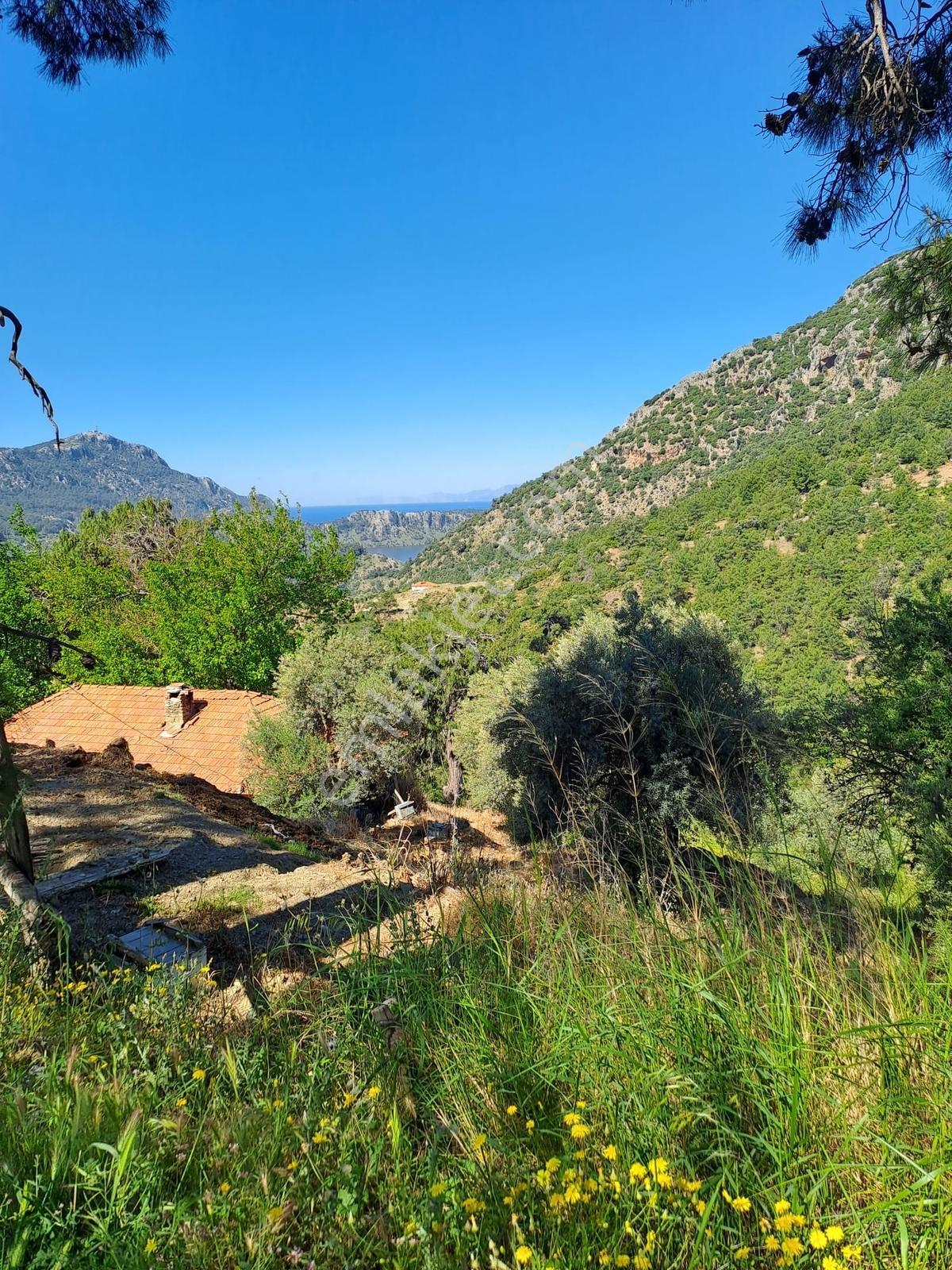 Deniz Manzaralı İçinde Kargır Ev Bulunan 7.776 M2 Satılık Tarla - Görsel 2