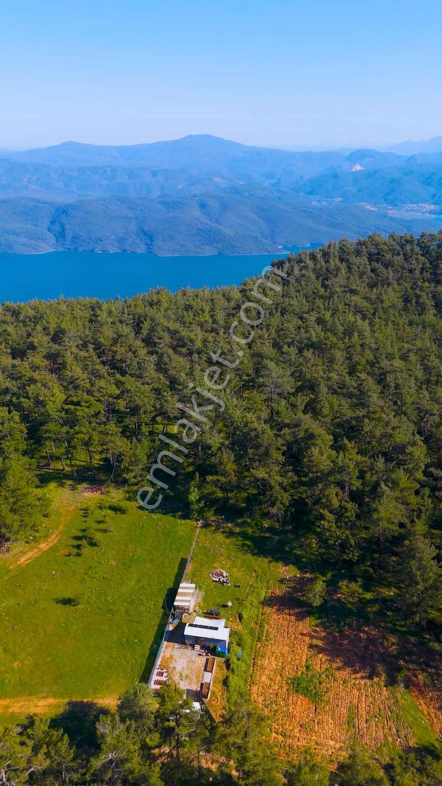Muğla Menteşe Kuyucak Mahallesi Satılık 2787 M2 Yaşam Alanı - Görsel 4