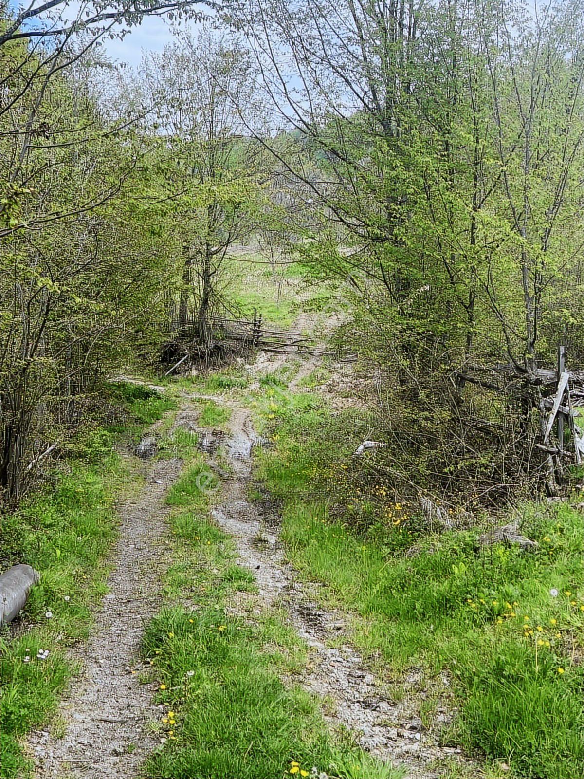 Ruşen Aydın Gayrimenkul'den Kaynaşlı Dipsizgöl'de Satılık Arsa - Görsel 15