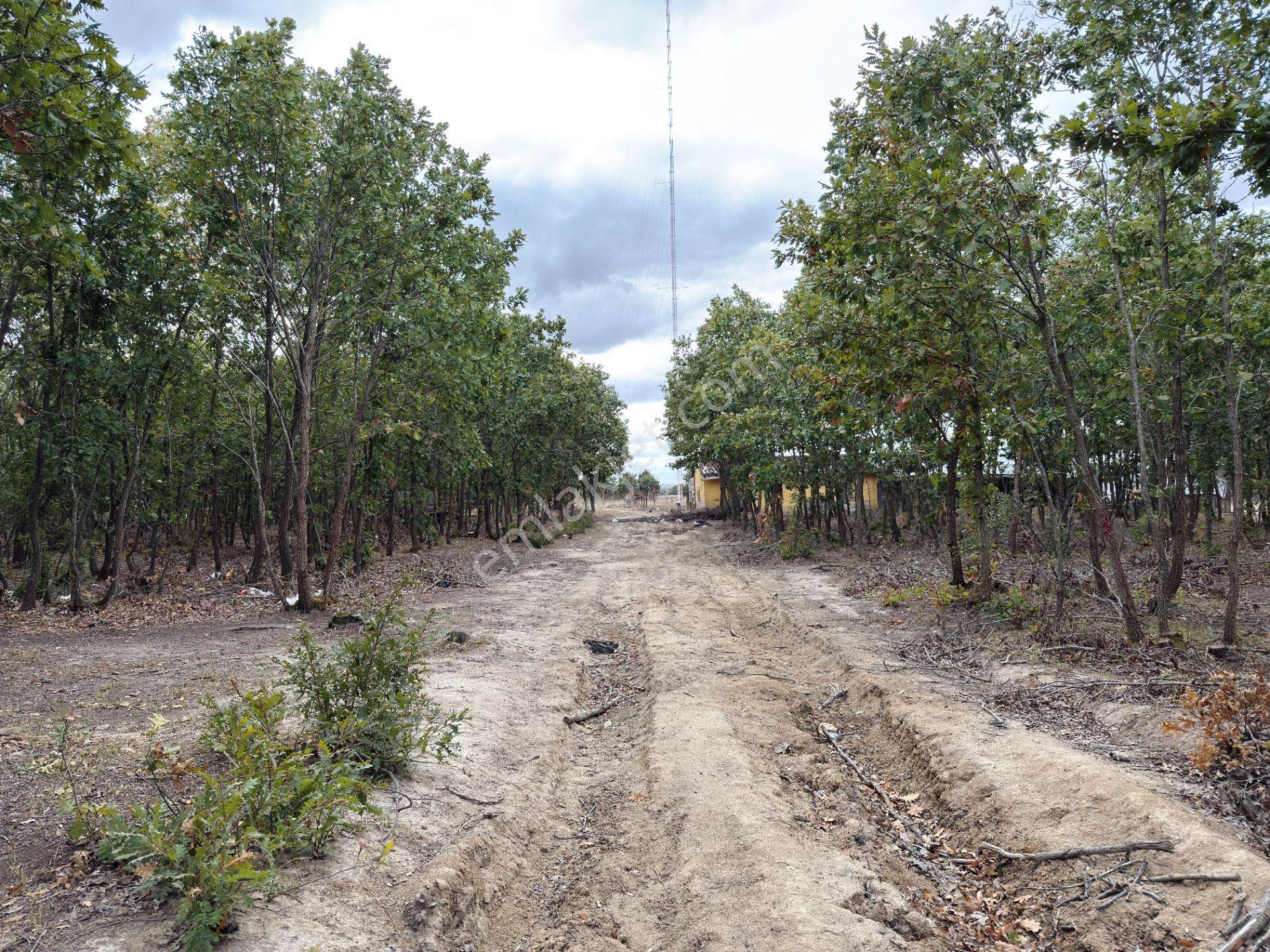 Kapaklı İkiz Göller Yakını Geleceği Parlak 3.785m2 Satılık Arsa - Görsel 30