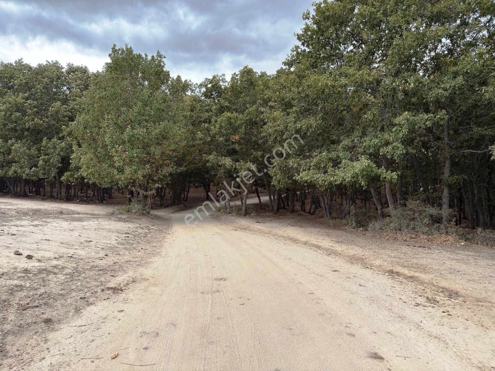 Kapaklı İkiz Göller Yakını Geleceği Parlak 3.785m2 Satılık Arsa - Görsel 26