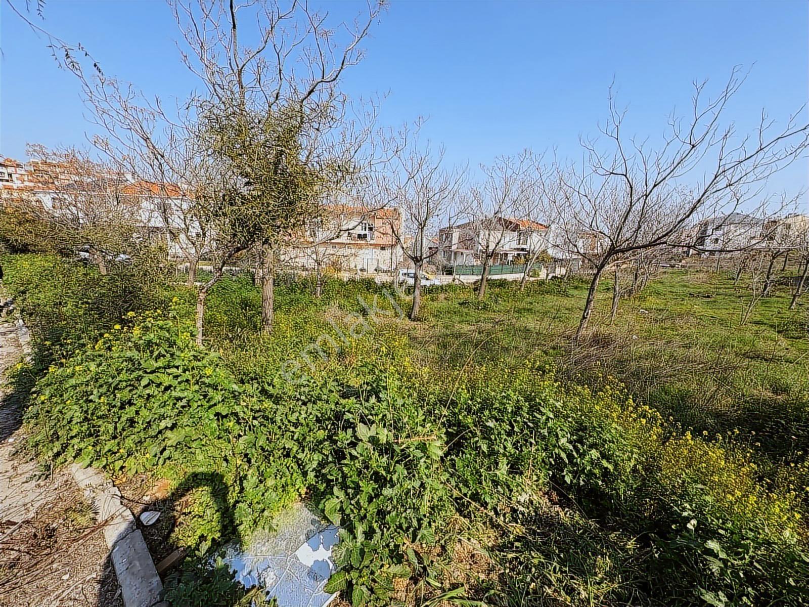 Seyrek Villakentte Kose Parsel İmarlı Arsa - Görsel 18