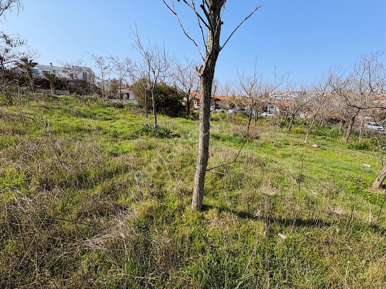 Seyrek Villakentte Kose Parsel İmarlı Arsa - Görsel 11