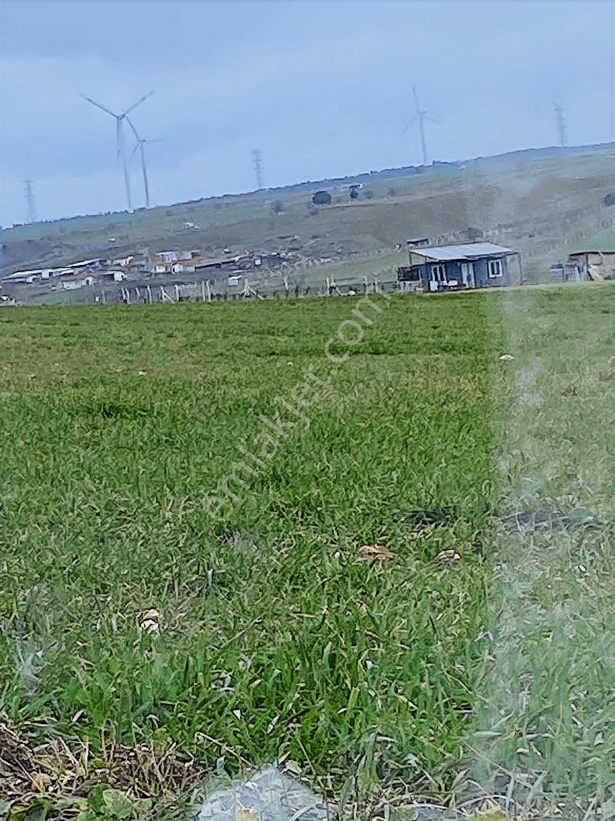 Istanbul Silivri Değirmenköy Sahibinden Satılık Arsa - Görsel 8