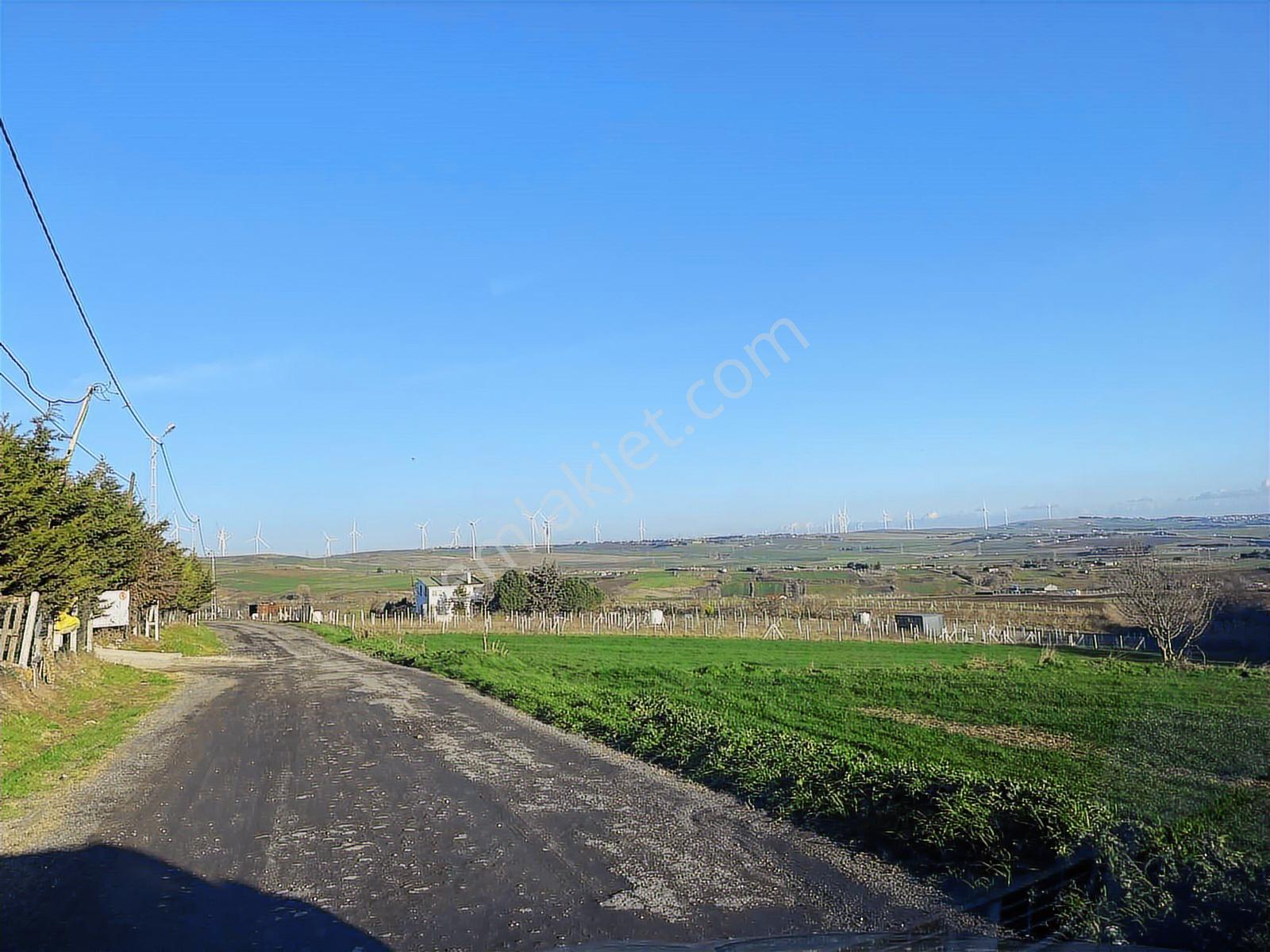 İstanbul Silivri Fenerköy Satılık 140m2 Arsa Yola Cepheli - Görsel 33