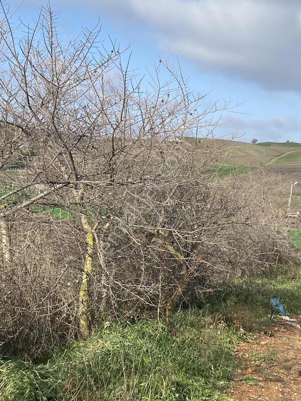 Acil Istanbul Silivri Değirmenköy Sahibinden Satılık Arsa - Görsel 20