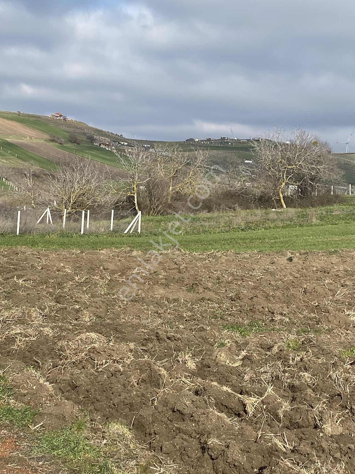 Acil Istanbul Silivri Değirmenköy Sahibinden Satılık Arsa - Görsel 10