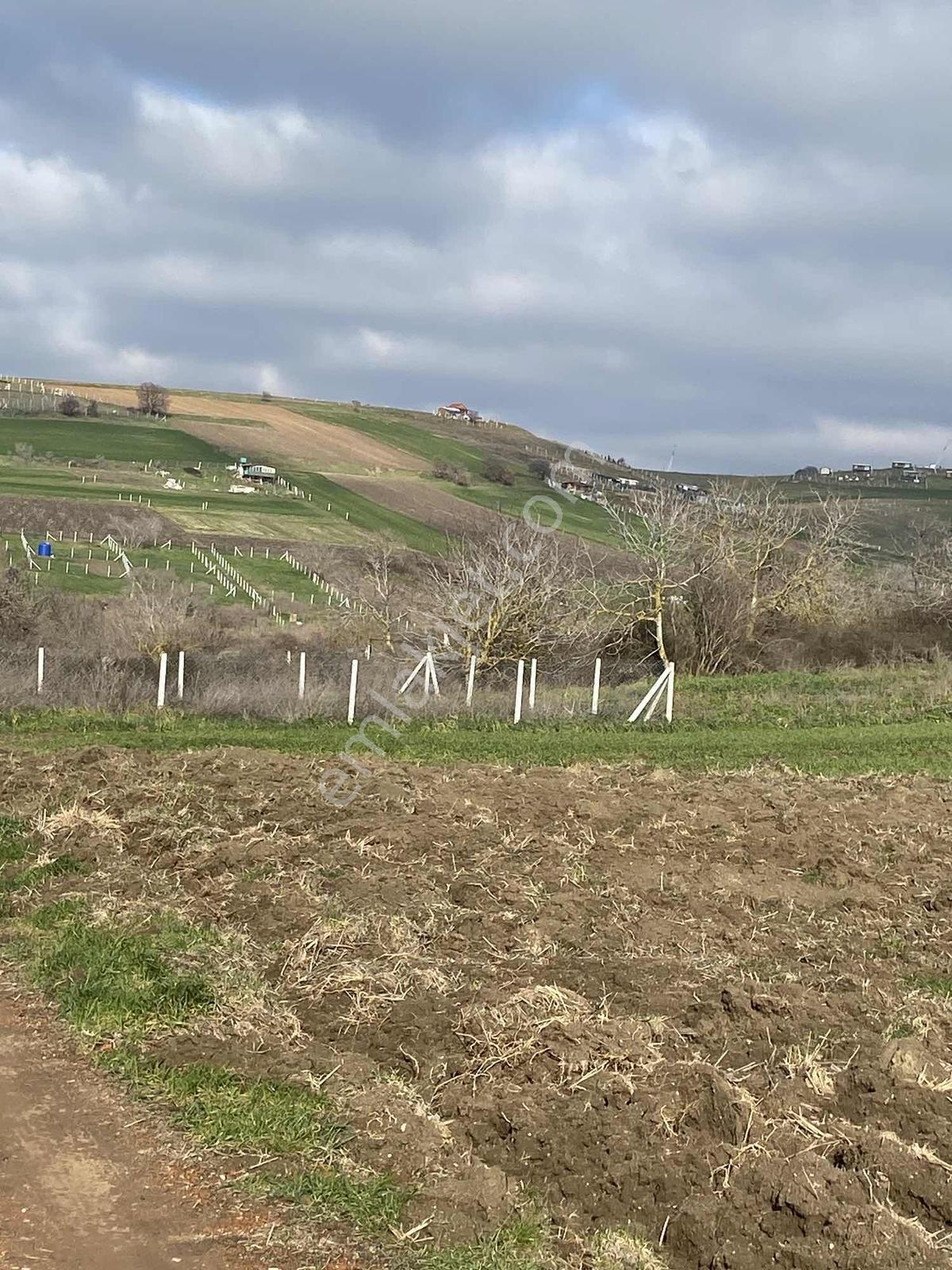 Acil Istanbul Silivri Değirmenköy Sahibinden Satılık Arsa - Görsel 13