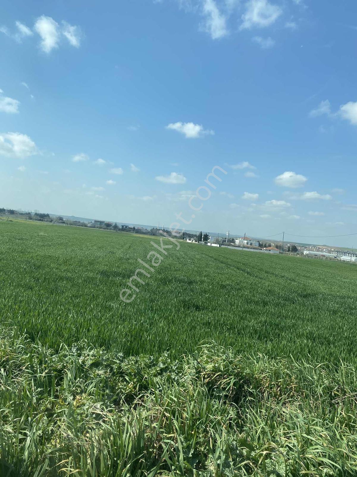 İstanbul Silivri Değirmenköy Sahibinden Satılık 253m2 - Görsel 7