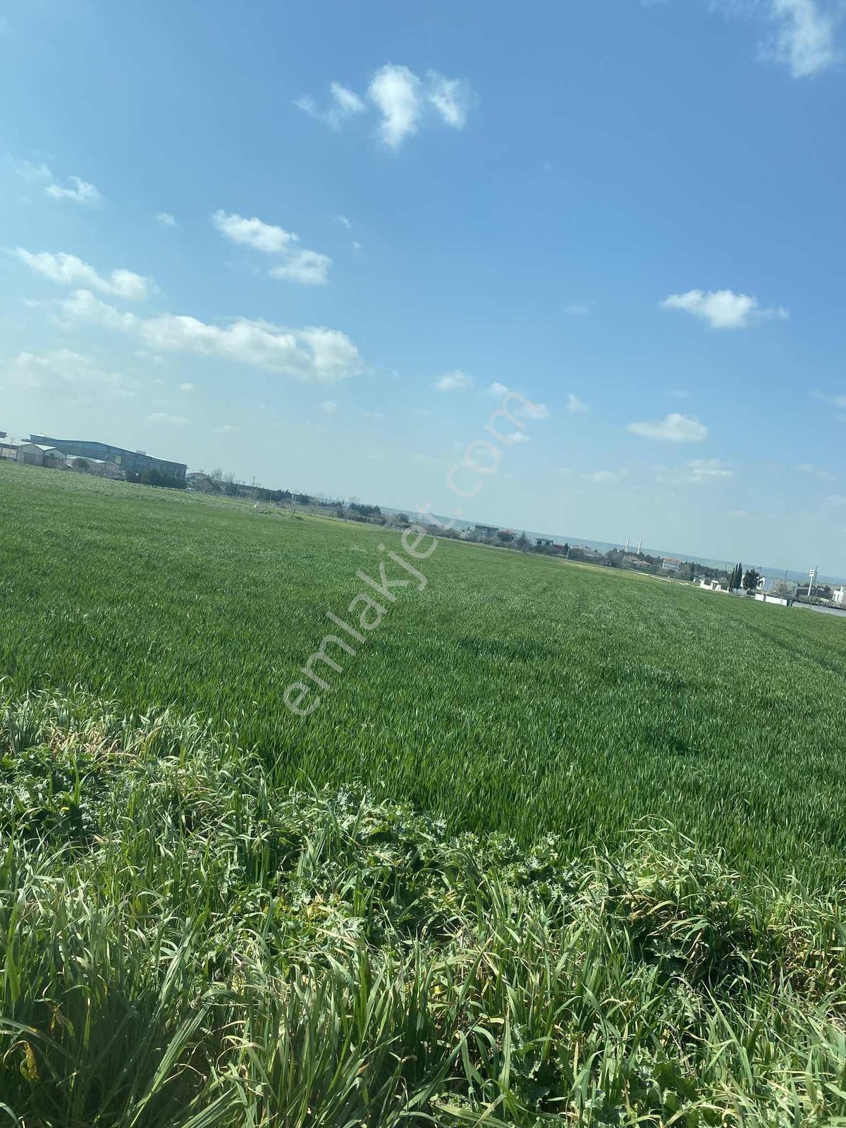 İstanbul Silivri Değirmenköy Sahibinden Satılık 253m2 - Görsel 4