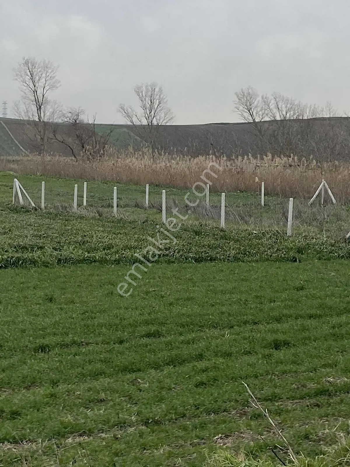 Istanbul Silivri Değirmenköy Sahibinden Satılık Arsa - Görsel 5