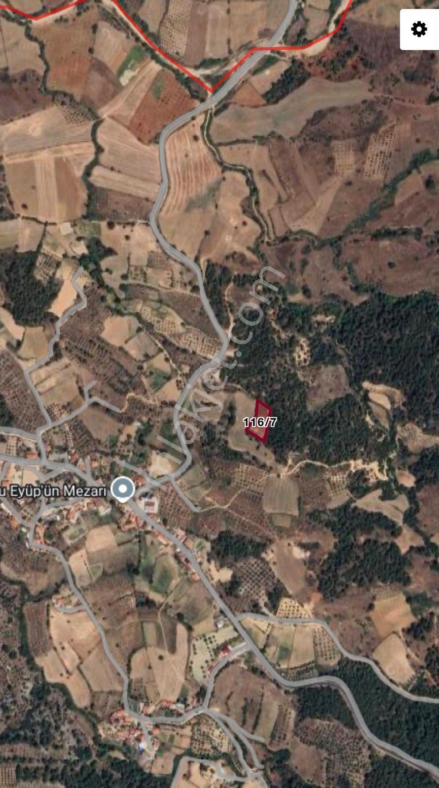 Mabel'den Muğla Yenibağyakada 1793m2 Satılık Tarla