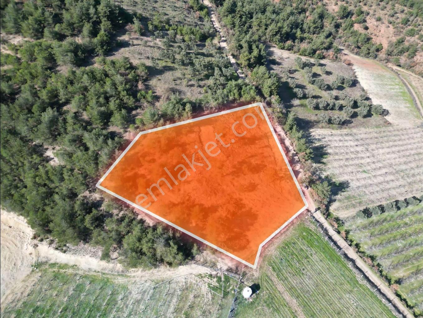 Remax Hür'den Osmaneli Ericek'te Yatırımlık Arsa - Görsel 2